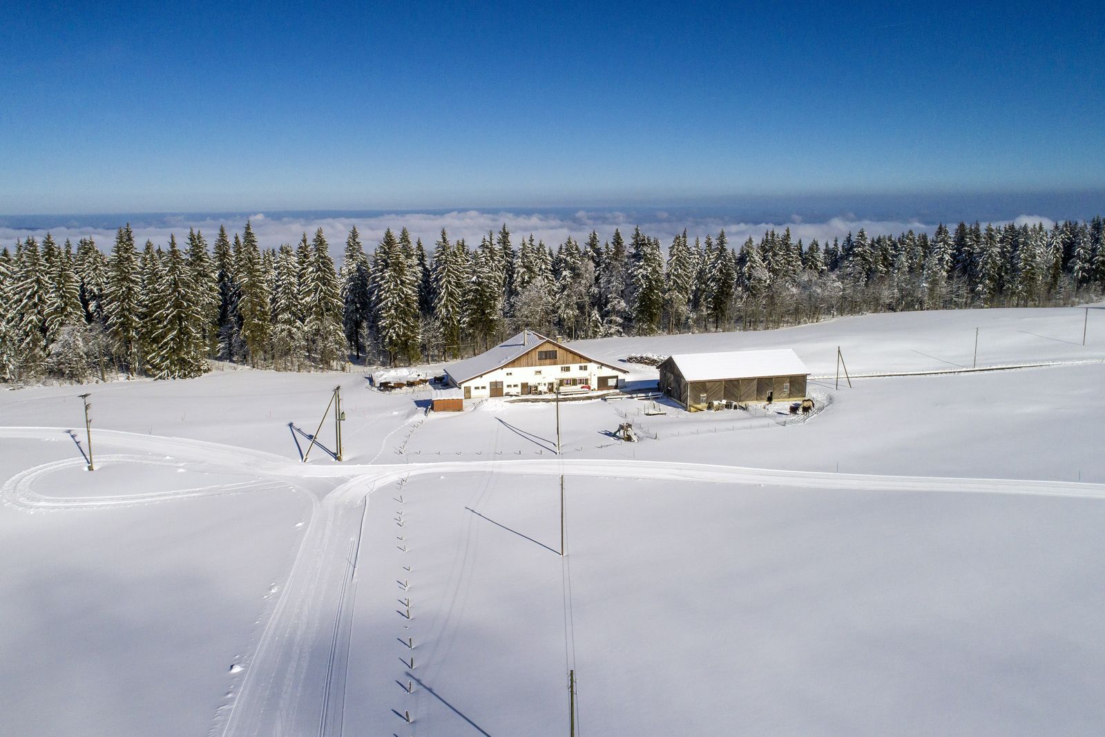 vue sur les montagnes